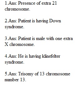 Karyotyping Activity